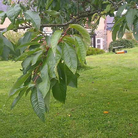 Maison Entre Cherbourg Et Mont Michel * Saint-Aubin-du-Perron