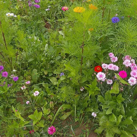 別荘 Maison Entre Cherbourg Et Mont Michel