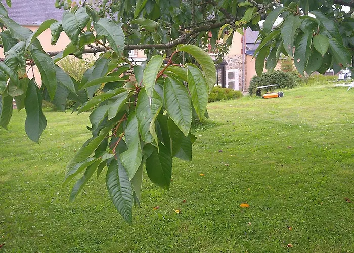 Maison Entre Cherbourg Et Mont Michel * Saint-Aubin-du-Perron