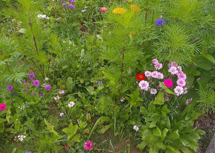 Holiday home Maison Entre Cherbourg Et Mont Michel